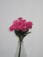 Bosje van 12 roosjes fuchsia ± 32cm ACTIEPRIJS